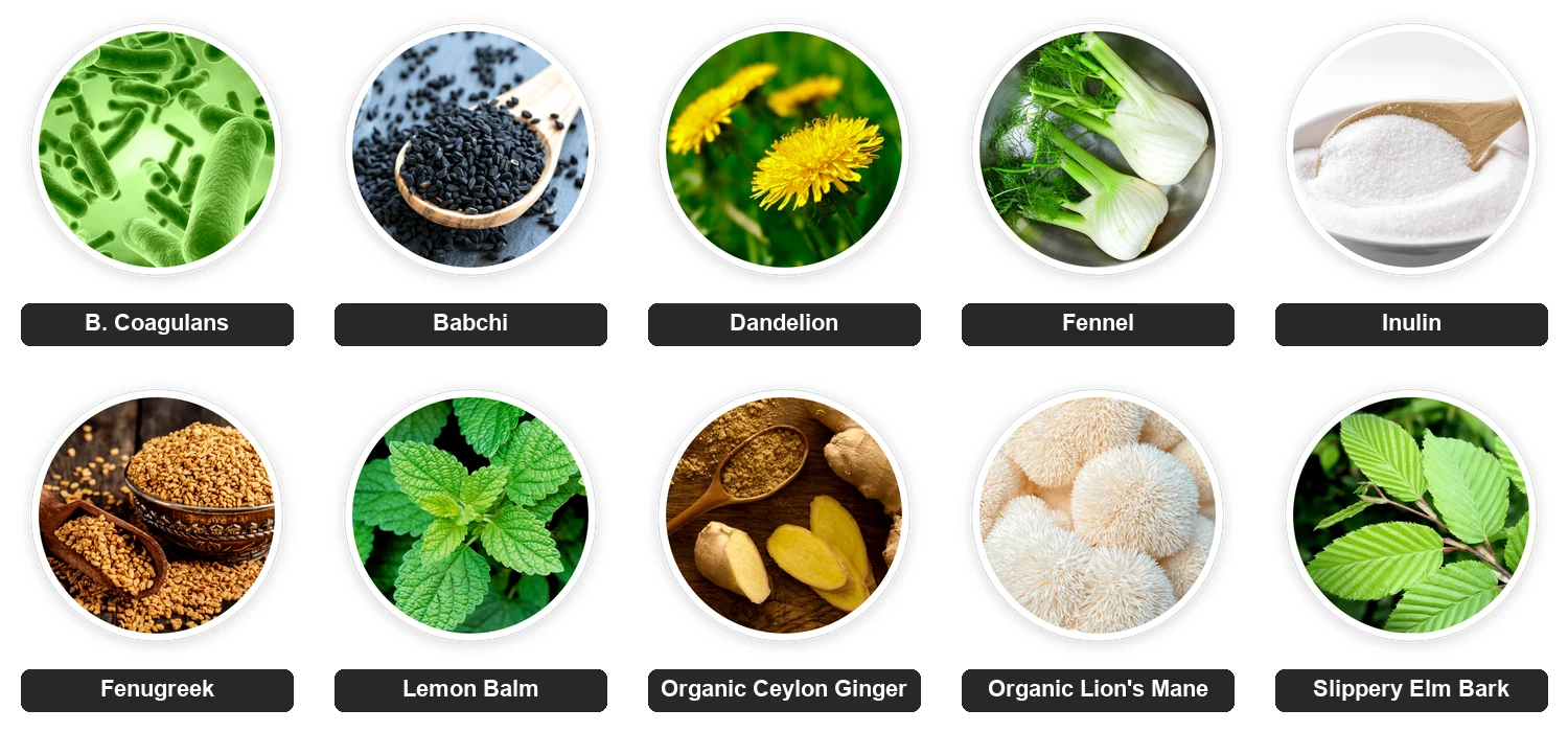 PrimeBiome ingredients